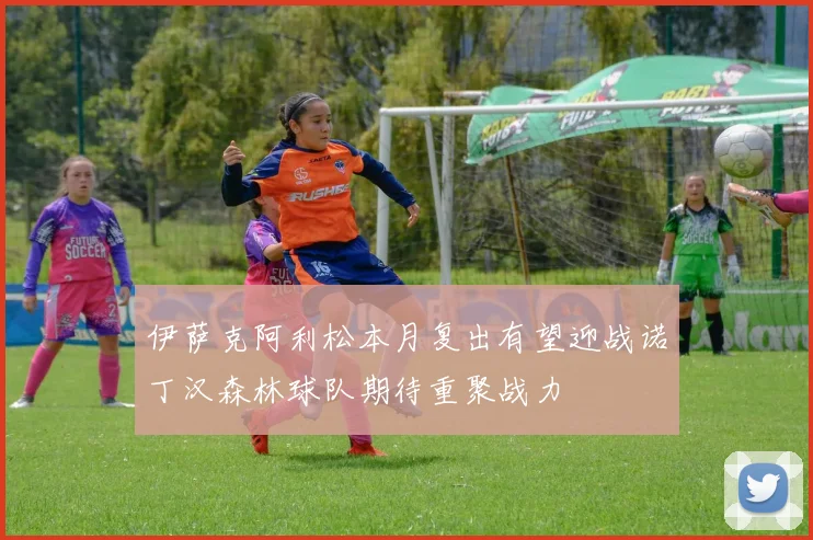 伊萨克阿利松本月复出有望迎战诺丁汉森林球队期待重聚战力