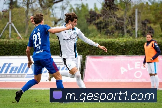 企鹅体育平台生态图