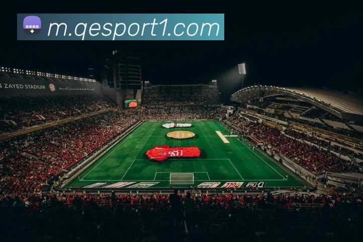 企鹅体育全站App